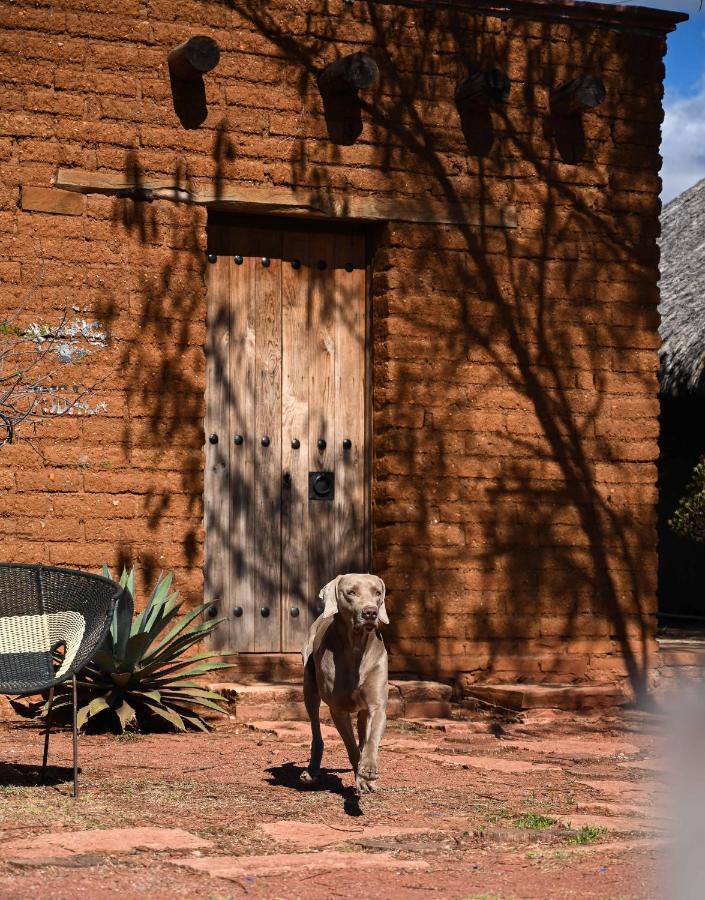 Casa Regina Oaxaca Villa San Pablo Villa de Mitla Екстериор снимка