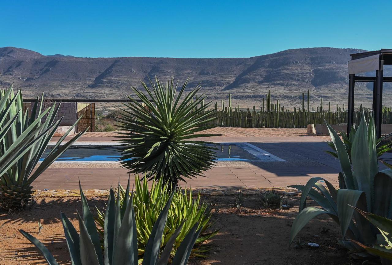 Casa Regina Oaxaca Villa San Pablo Villa de Mitla Екстериор снимка