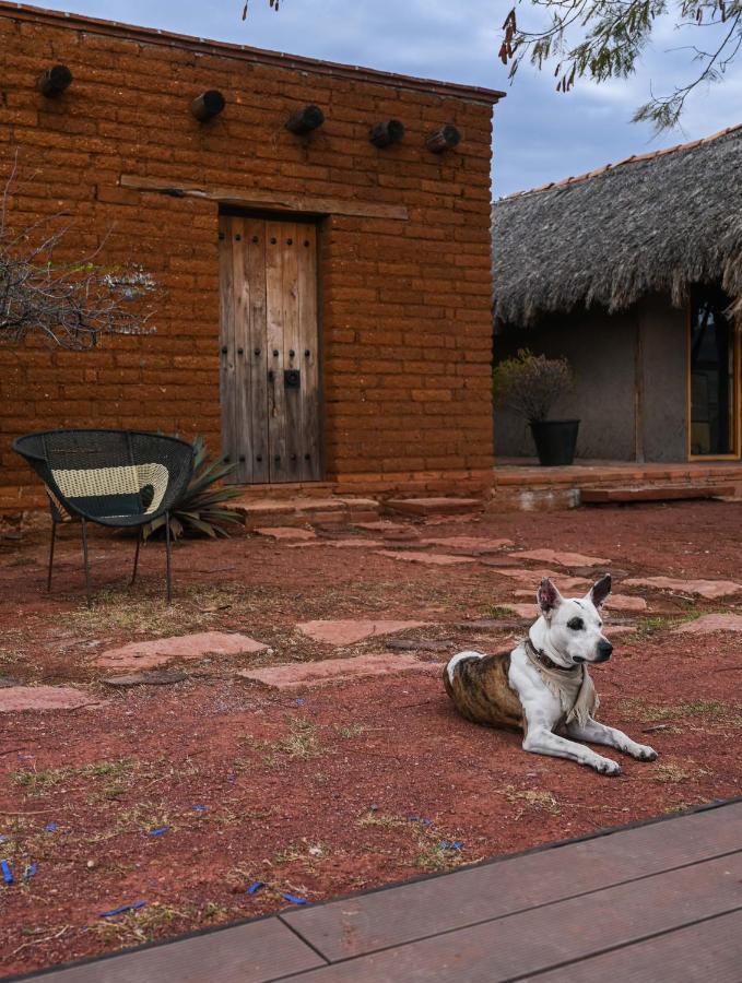 Casa Regina Oaxaca Villa San Pablo Villa de Mitla Екстериор снимка
