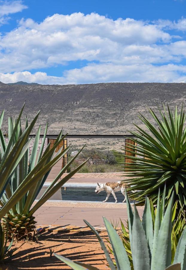 Casa Regina Oaxaca Villa San Pablo Villa de Mitla Екстериор снимка