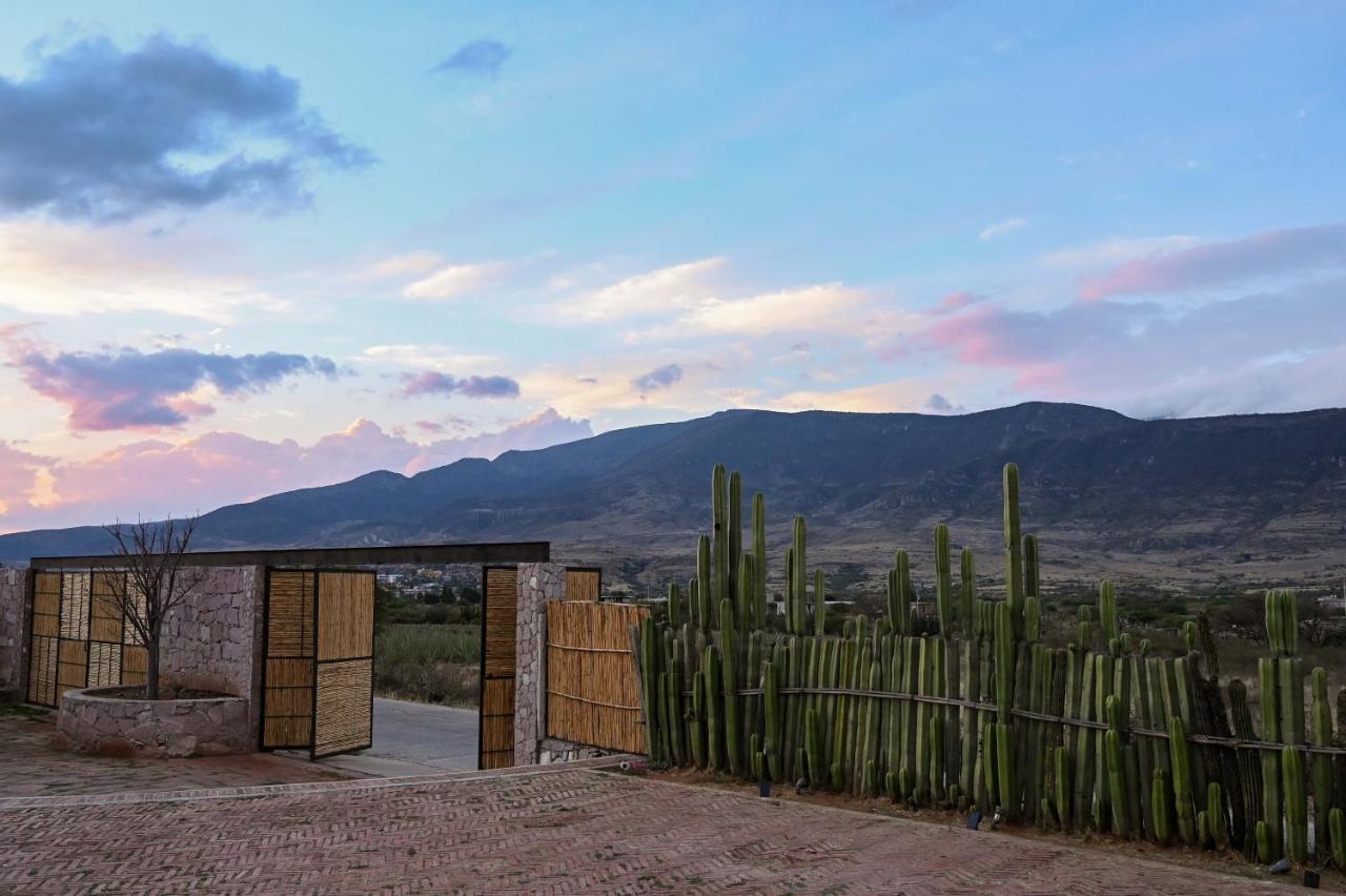 Casa Regina Oaxaca Villa San Pablo Villa de Mitla Екстериор снимка