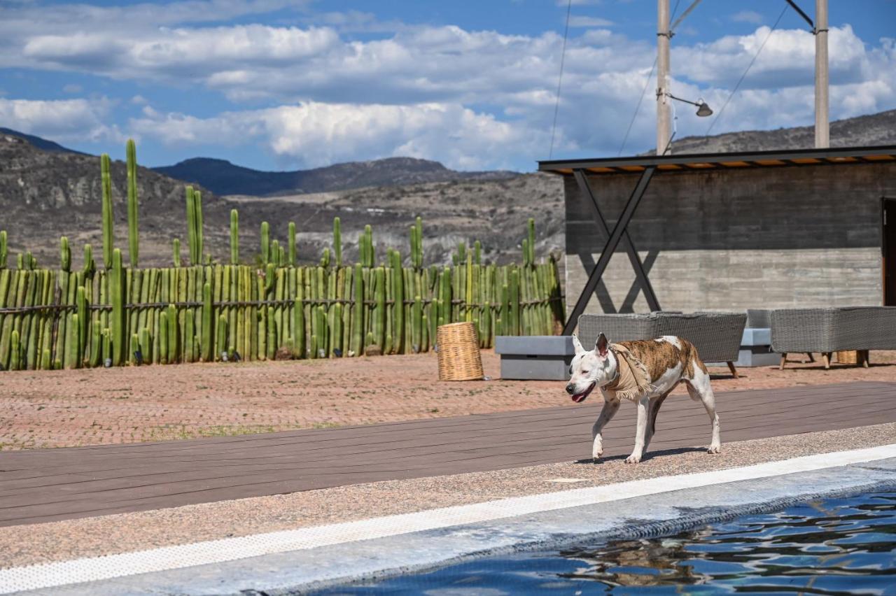 Casa Regina Oaxaca Villa San Pablo Villa de Mitla Екстериор снимка